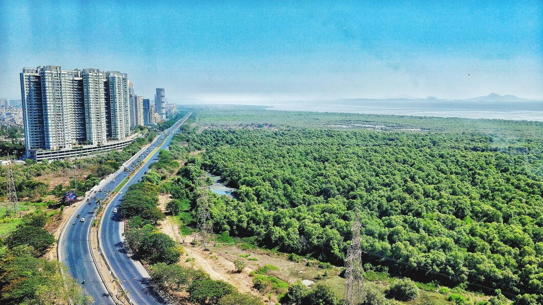 Oberoi Realty Sector 58 Gurgaon aerial view